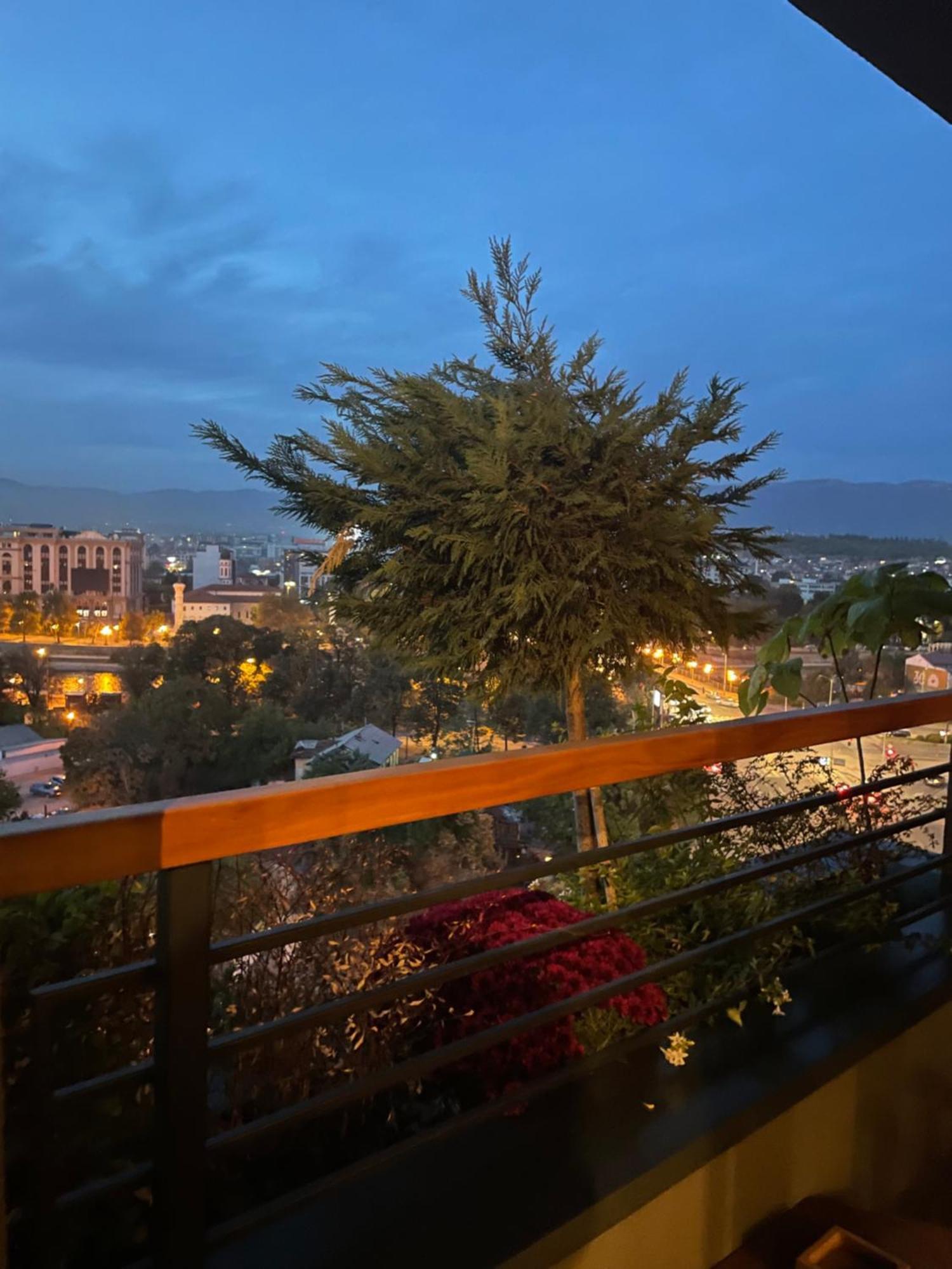 City Leks Apartment Σκόπια Εξωτερικό φωτογραφία